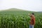 Farmer points to a green field of corn. Agricultural industry. Copyspace