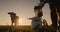 Farmer pours milk into can at sunset, in the background of a meadow with a cow