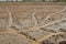 Farmer prepares the area for cultivate rice.