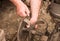 Farmer prepares plower for work