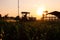 Farmer preparing and spraying pesticides on field