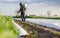 A farmer processes a field of potatoes from a mist sprayer. Protecting crops from pests and fungal infections. Control over