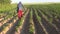 Farmer with protective equipment spraying potato field
