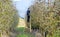 Farmer pruning apple tree in orchard in Resen, Prespa, Macedonia. Prespa is well known region in