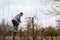 Farmer is pruning branches of fruit trees in orchard using long loppers on ladders