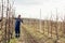 Farmer pruning fruit trees in spring garden