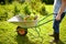 Farmer pushing wheelbarrow with freshly picked organic vegetables and salad in backyard. Healthy vegetarian food. Harvesting.