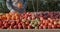 The farmer puts ripe oranges on the counter. Farmer`s market and products from local producers