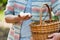 Farmer putting organic eggs in a brown basket on his farm