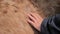 Farmer raking ponys back with fingers and hold holding tufts of looking winter fur between fingers. Horse back, neck and legs. Ani