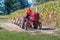 A farmer on a red tractor drives adults and kids in tiny cars around the farm