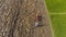 Farmer in rice field indonesia