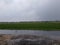 Farmer ricefield car rain rainy sky cloudy cloud green rocks rocks way