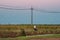 A farmer rides a motorcycle along power lines. A flock of birds scatters from the sound of a moped