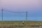 A farmer rides a motorcycle along power lines. A flock of birds scatters from the sound of a moped