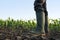 Farmer in rubber boots standing in corn field