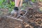 A farmer in rubber overshoes digs up the ground with a ripper shovel. Hand cultivator