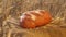 Farmer`s fresh bakery bread. crisp fresh bread in a wheat field. tasty loaf of white bread lies on burlap in the field