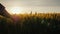 Farmer's hand looks at the ears of wheat at sunset. The sun's rays shine through the ears