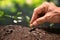 Farmer`s hand planting a seed