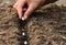 Farmer`s hand planting seed in soil