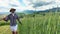 A farmer's hand touches ears of rye in a field, checking his harvest. A male farmer at sunset walks