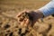 Farmer`s Hands Hold A Handful Of Fertile Land, Close-Up