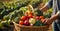 Farmer\\\'s hands holding a basket autumn fresh sunny day vegetables harvest, agriculture seasonal