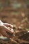 Farmer\'s Hands Holding Soil On Fertile Land