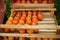 The farmer`s hands stacks fresh persimmon fruit in wooden box