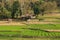 Farmer's hut on the roadside next to agriculture farm.