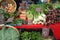 Farmer\'s Market / Fennel, Okra, Peppers, Onions, Radishes