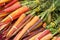 Farmer`s Market table with rainbow carrots