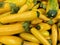 Farmer`s Market Yellow Squash