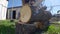 a farmer saws logs with a chainsaw, harvesting firewood for winter heating