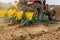 Farmer seeding, sowing crops at field.