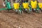 Farmer seeding, sowing crops at field. Sowing is the process of planting seeds in the ground as part of the early spring time agri