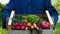 Farmer selling his organic produce on a sunny day. Farmer giving box of veg to customer on a sunny day. Man buying vegetables at f