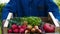 Farmer selling his organic produce on a sunny day. Farmer giving box of veg to customer on a sunny day. Man buying vegetables at f