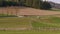 Farmer shepherding three horses, dog to paddock, spring day