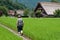 Farmer in Shirakawago