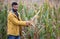 Farmer showing corn cob with disease