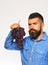 Farmer shows harvest. Man with beard holds bunch of grapes