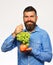 Farmer shows harvest. Man with beard holds bunch of grapes