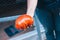 Farmer shows in his hand a giant red ripe juicy tomato