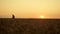 Farmer silhouette checking spikelet on crop field. Farming agriculture concept