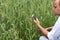 Farmer with smart phone in front of his lush green wheat farm