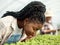 Farmer smelling growing herbs. African american farmer sniffing her plants. Young farmer smelling her plants. African