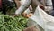 Farmer sorts and packs peas in pods at local market. Selling vegetables at grocery market. Raw green pea pods at the