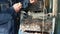 a farmer sorts walnuts in a box. storage and harvesting of nuts